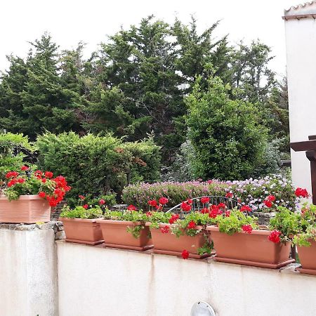 Villino Messina Apartment San Vito Lo Capo Bagian luar foto