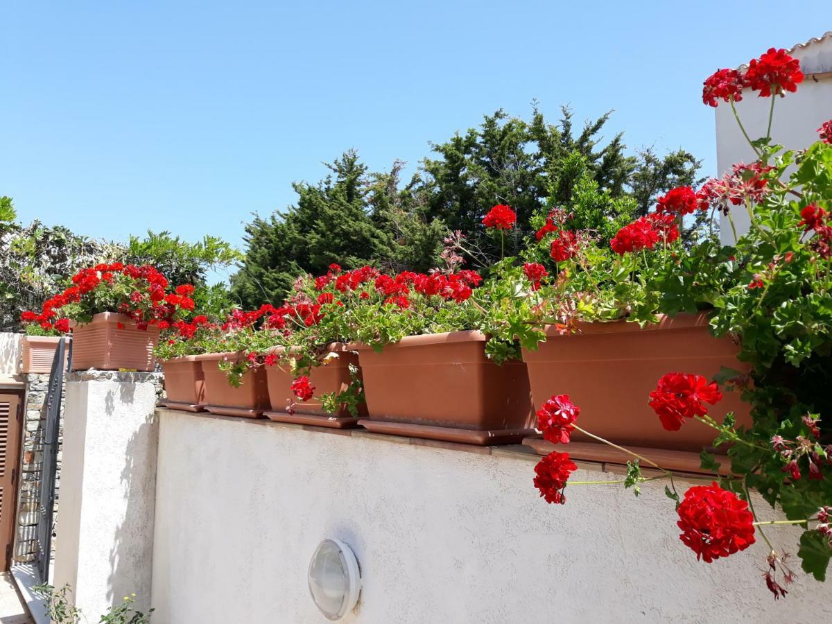 Villino Messina Apartment San Vito Lo Capo Bagian luar foto