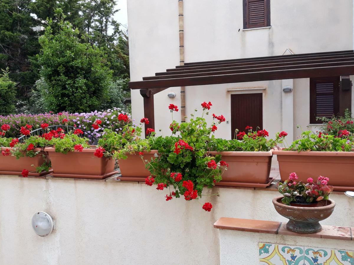 Villino Messina Apartment San Vito Lo Capo Bagian luar foto