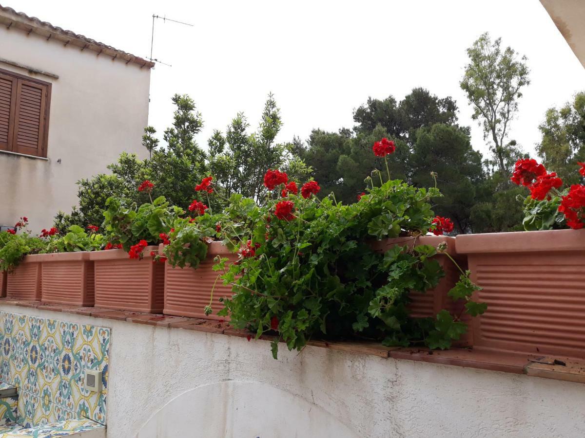 Villino Messina Apartment San Vito Lo Capo Bagian luar foto